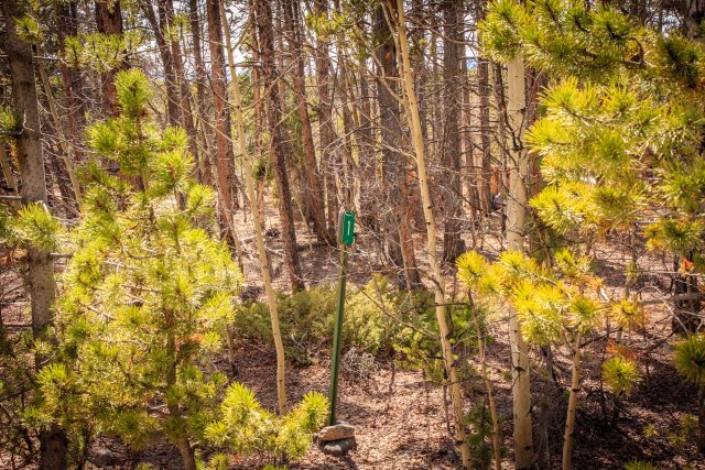 A long-forgotten mile marker